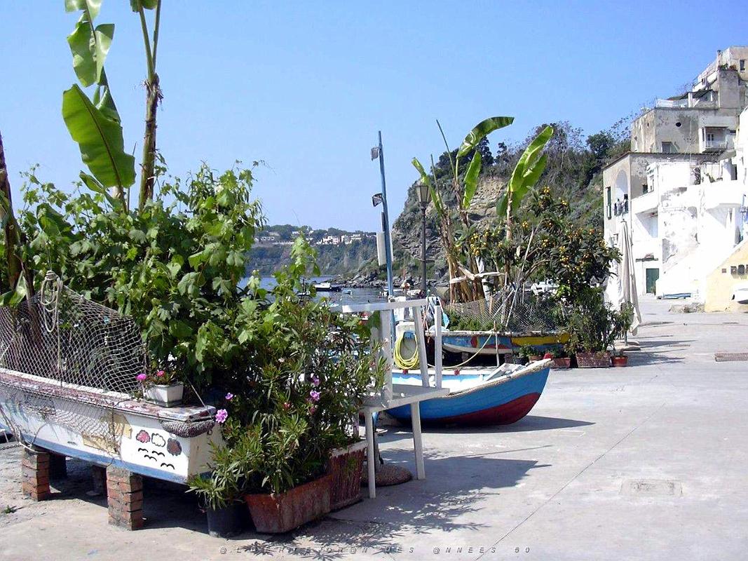 Corricella 027.JPG